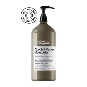 LOREAL PROFESSIONEL SHAMPOO ABSOLUT MOLECULAR 1L